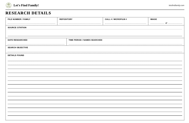 Preview of the Research Details worksheet, showing the repository and citation header and the large details found area